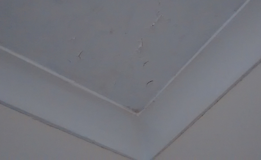 ceiling.jpg